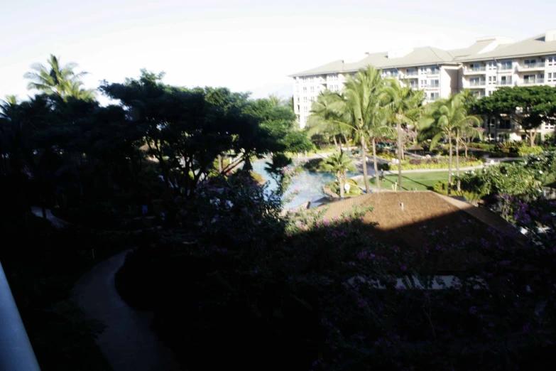 some buildings water trees bushes and a walkway