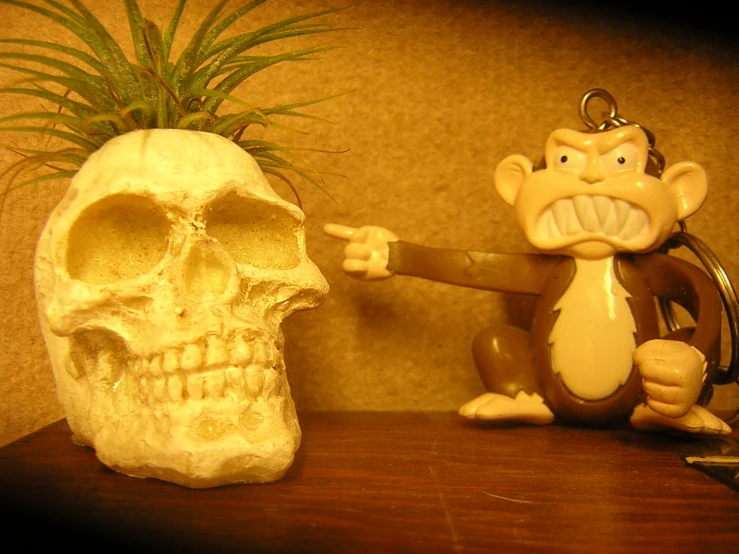 a monkey is on a table next to a human skull