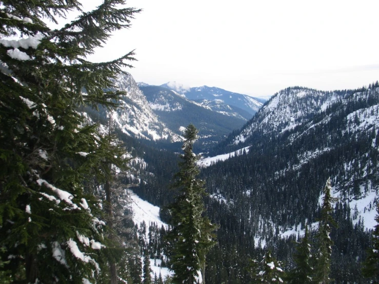 the landscape is full of snow and trees