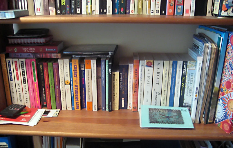 books are lined up on a shelf in the room