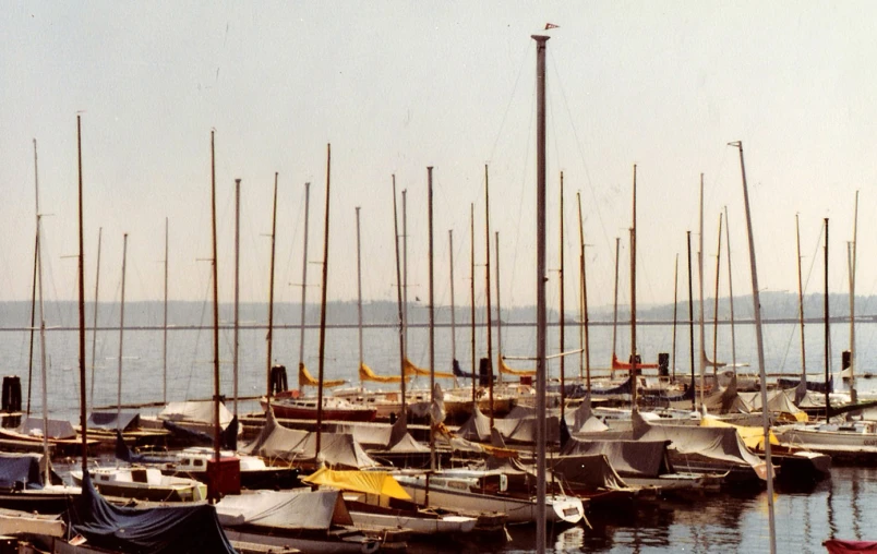 lots of small boats are tied to a dock