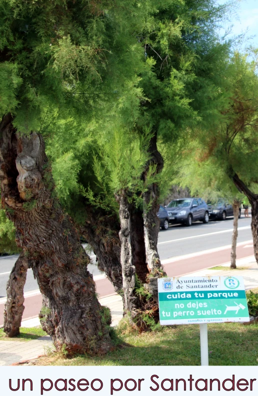 a sign with an image of a tree in the background