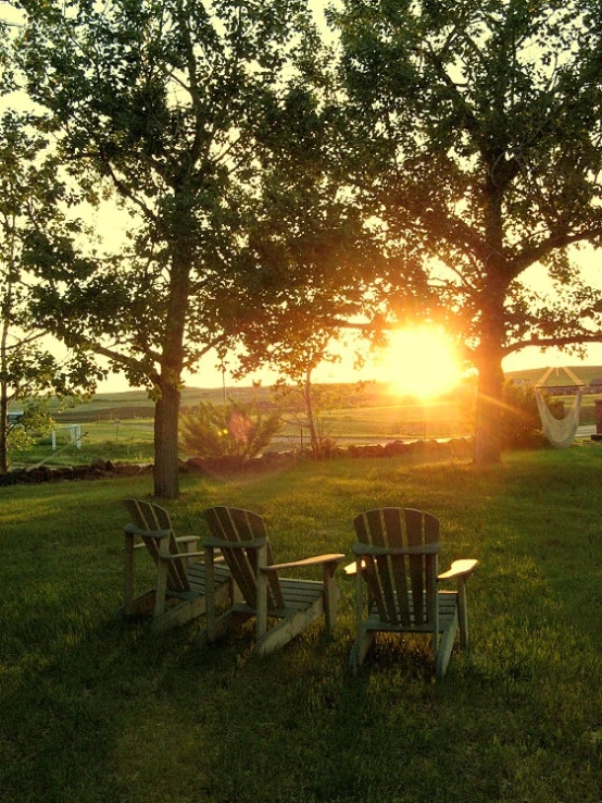 two adiron chairs sitting under a tree in the sun