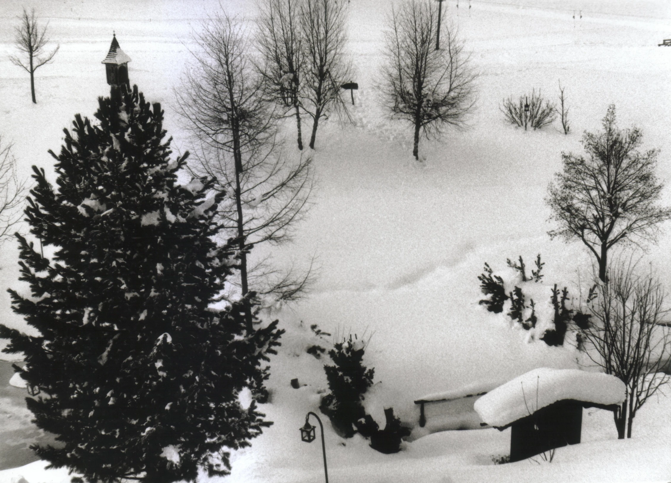 a winter scene showing snow covered trees, and an area with several small cabins