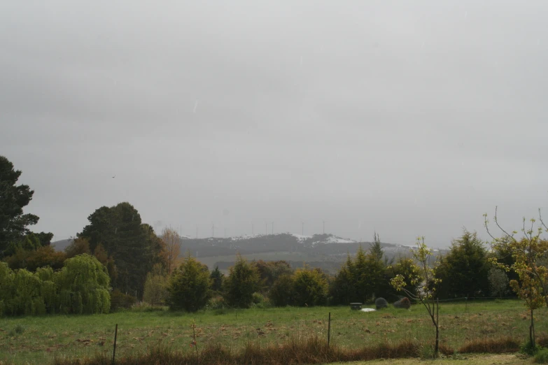 an image of a grassy hill with mountains in the background