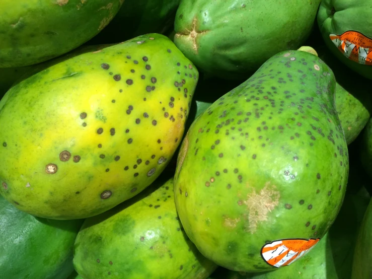 many pieces of papaya sit together and there are spots on them