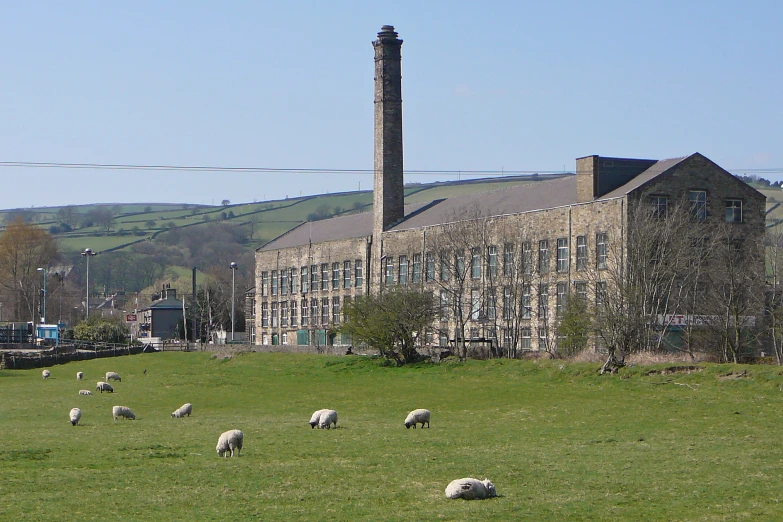 a large building on the side of a hill with many sheep in front