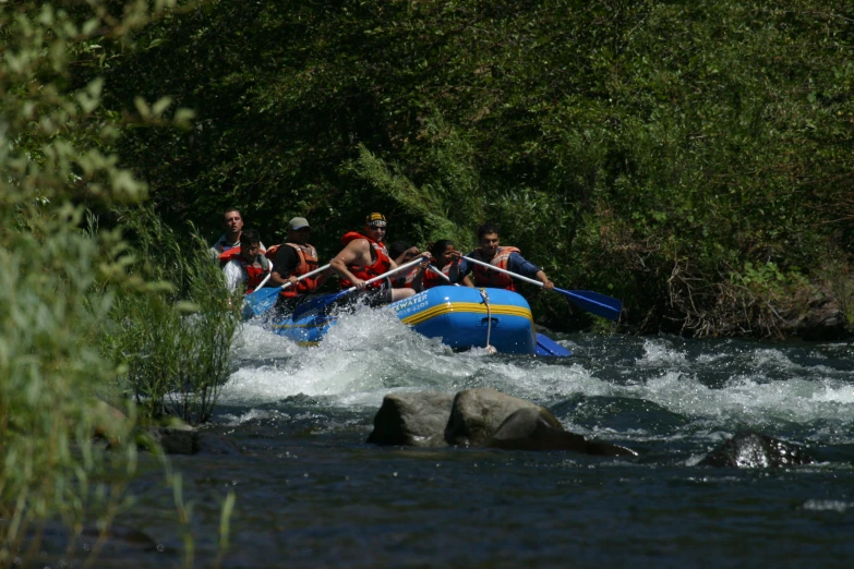 some people in a raft going down a small river