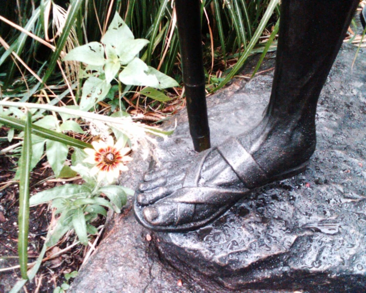 an image of foot in muddy water with flowers