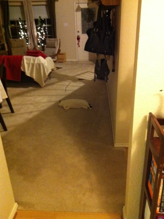 a long hallway with light colored carpet and table