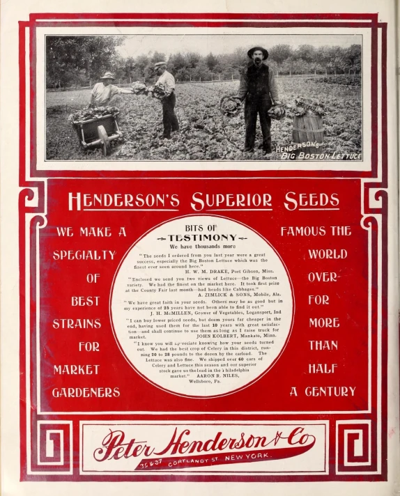 the hudson's super seeds advertit