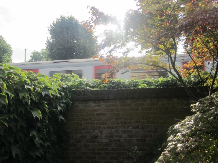 an overpass between the bushes with a train in the background