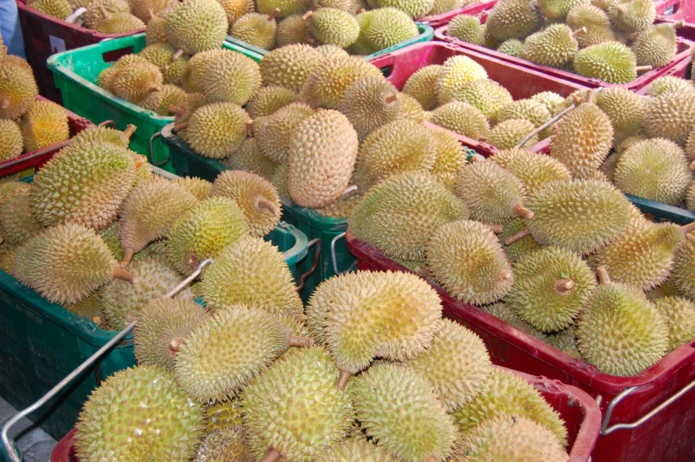 a row of containers filled with different types of fruits