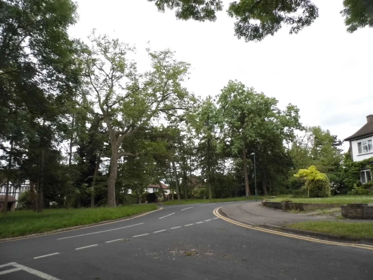 a empty city street lined with trees on the side of it