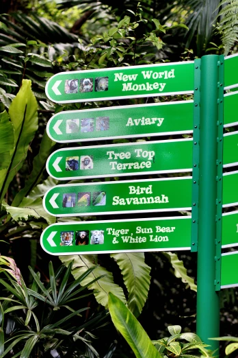a signpost in front of many green plants