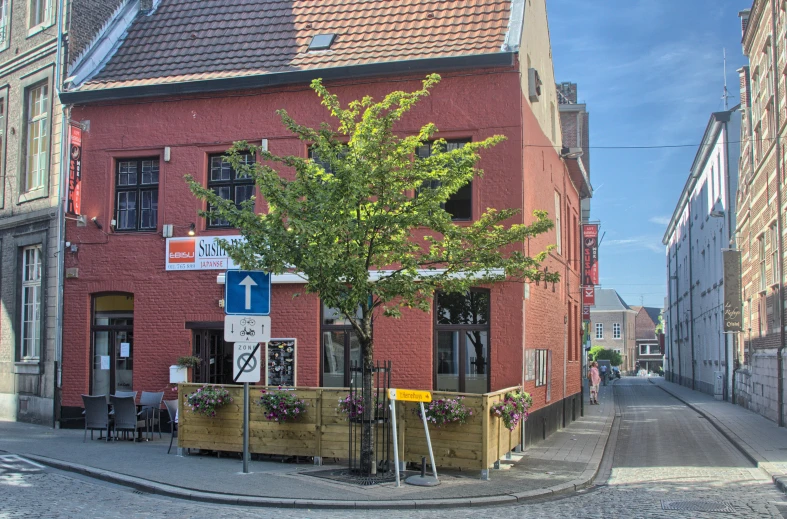 a tree and a building on the street