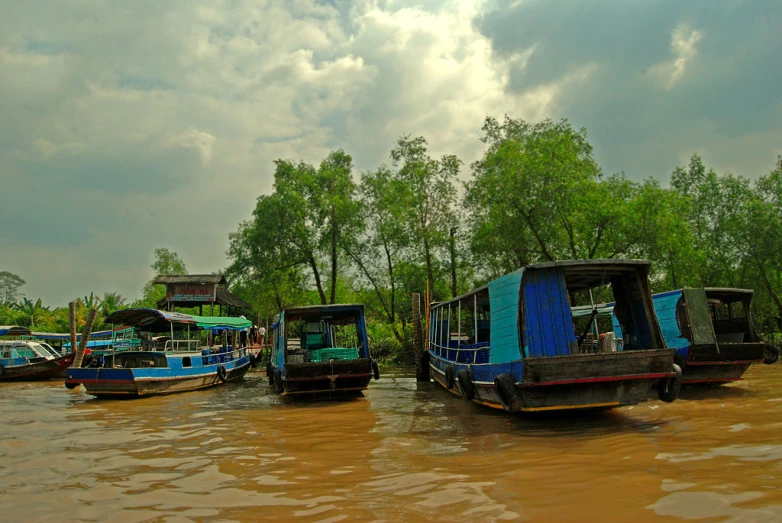 a group of boats floating along side of a forest