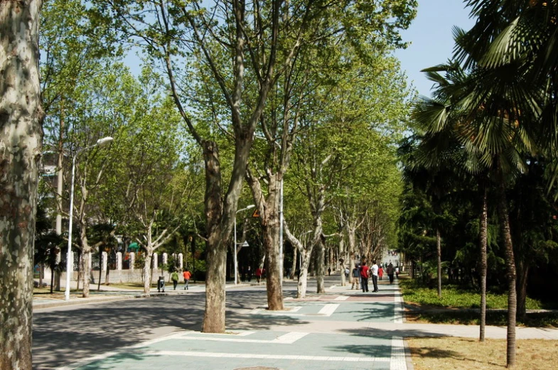 a street with some trees on the side and several people walking in it