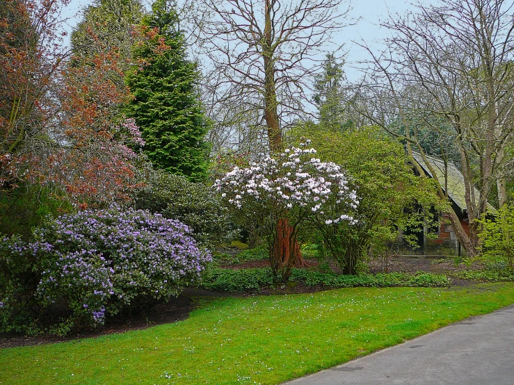 an umbrella sits in a park area