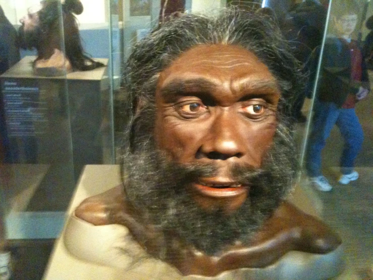 a large man's head with a long beard, in a museum case
