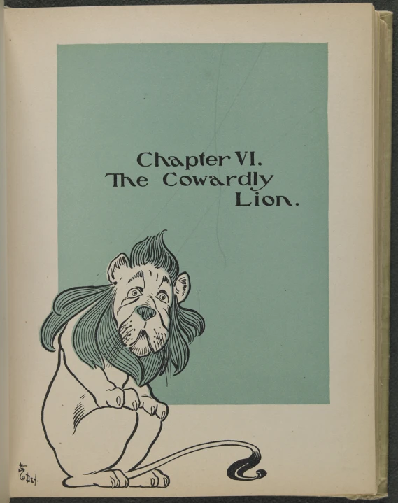 a book with an image of a cartoon lion