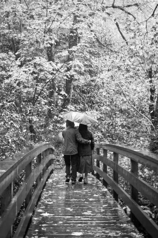 people are walking on a bridge while carrying umbrellas