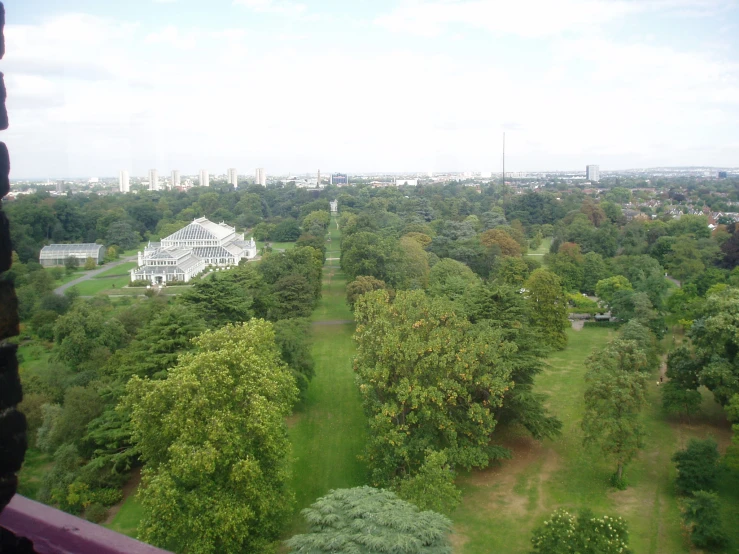 a view of an area of many trees, and some buildings