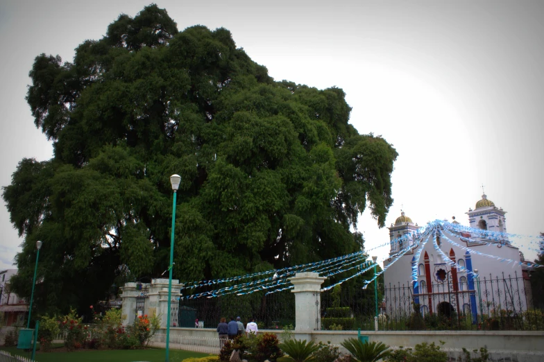 a building with trees and decorations all around