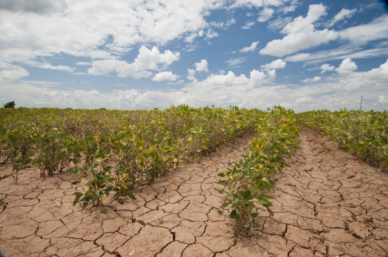 an outdoor area that has been completely dried out