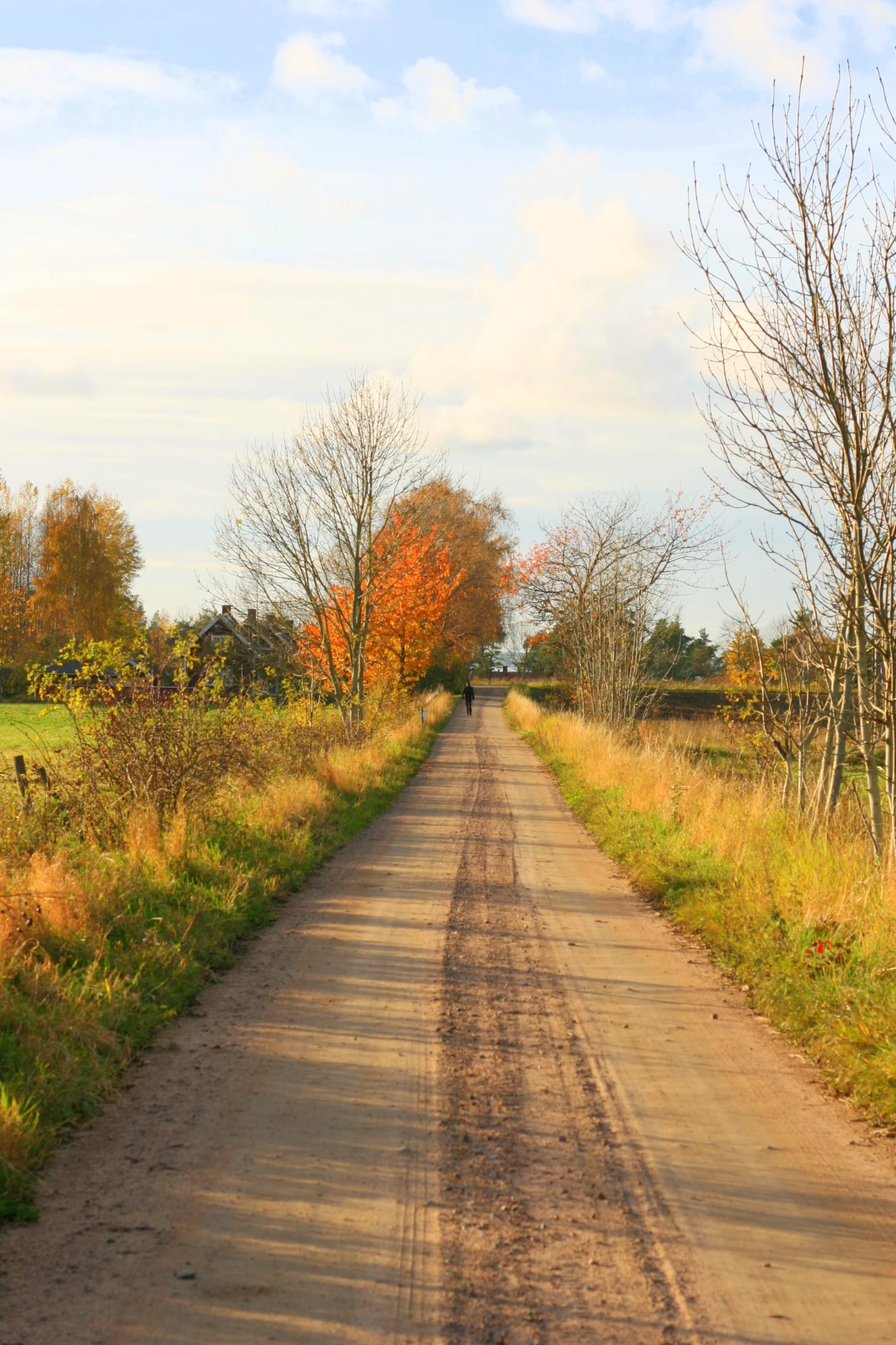 a lonely dirt road is empty in autumn