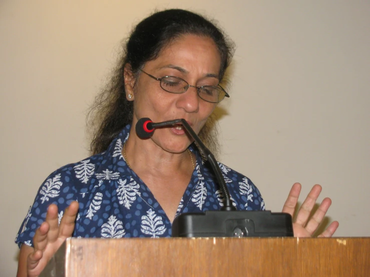 a woman speaking in front of a microphone and pipe