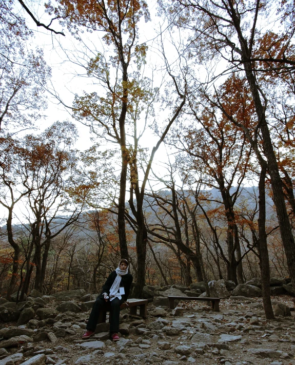 there are two people sitting in the woods