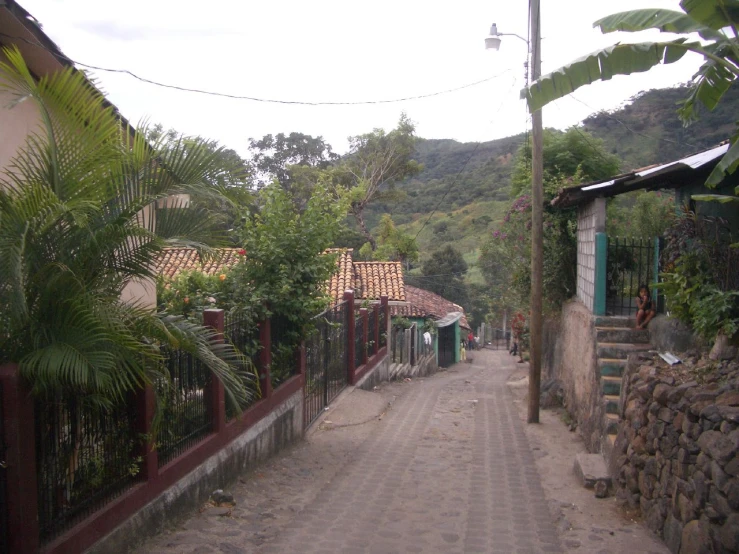 a street in a rural neighborhood with a fence and a tree