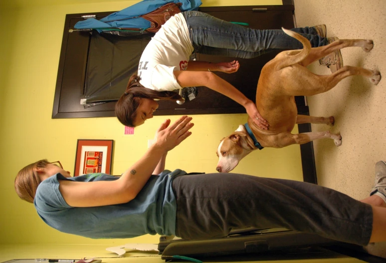 a woman helping another woman to pet a dog