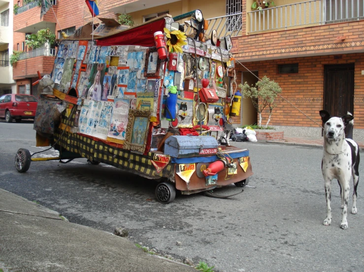 a dog is walking by a cart with merchandise on it