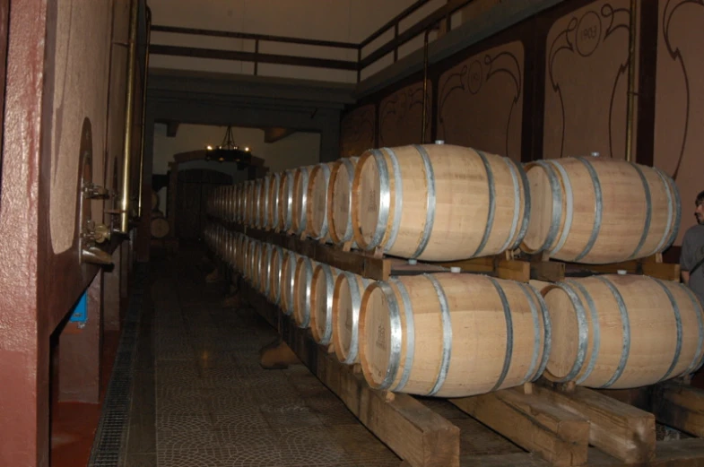 several wine barrels lined up in an enclosed area