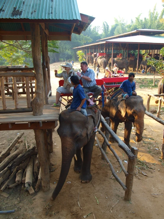 group of people are sitting on an elephant in their den