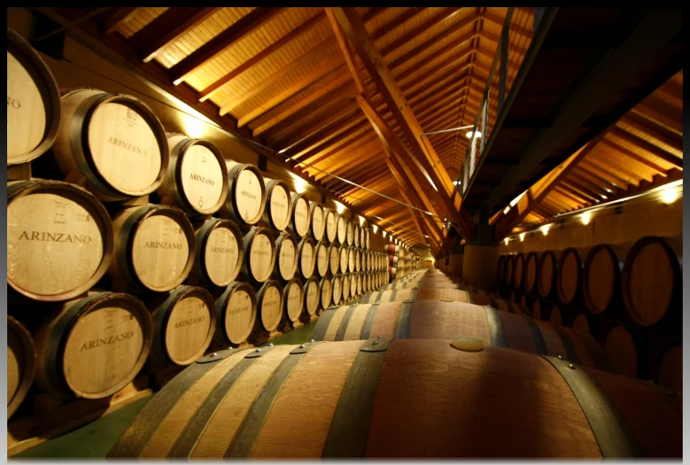 several rows of wine barrels in an empty room