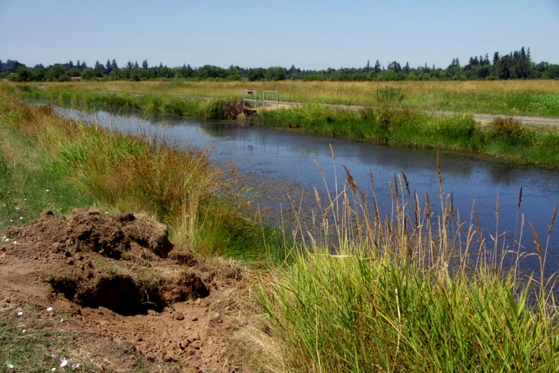 the river is running through a grassy area