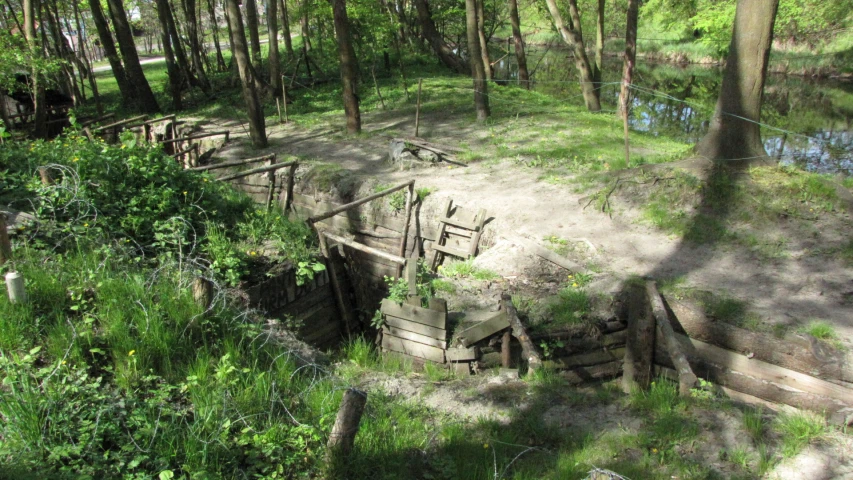 an image of an abandoned house in the woods