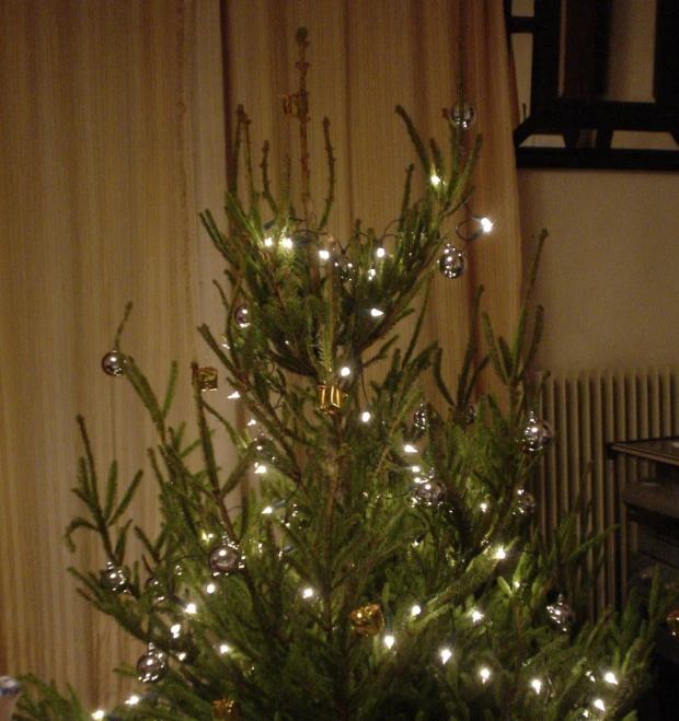 a small, green tree with christmas lights is in front of a wall
