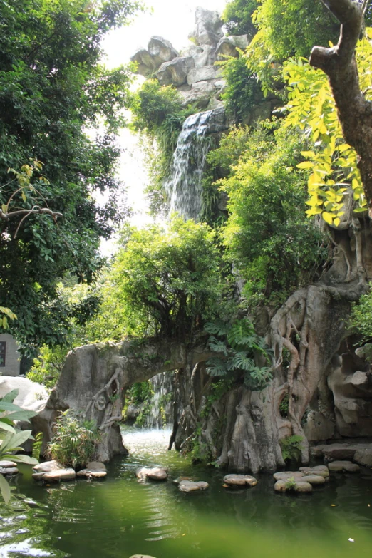 a waterfall is in the middle of trees and water