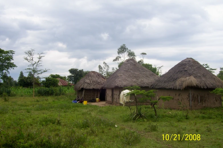 there is a grass hut that has a few straw roofs