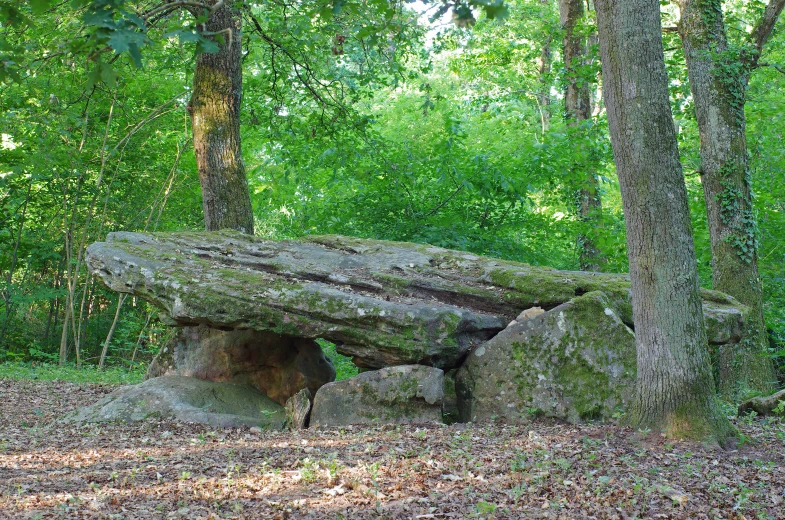 the rocks have been made into a bench and are surrounded by trees