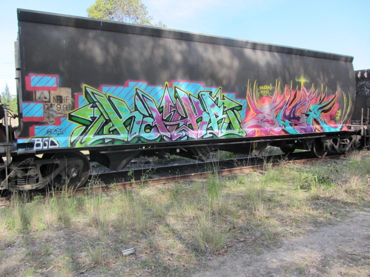 a train with some graffiti on it sitting next to some grass