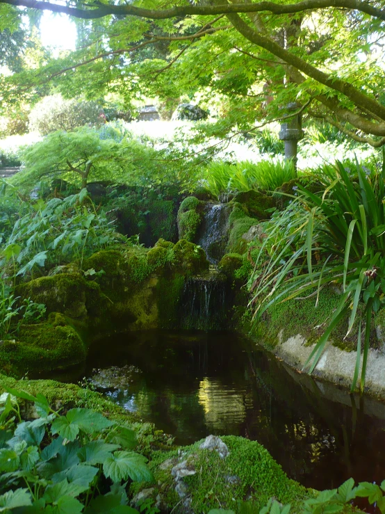 there is a pond with some water running down it