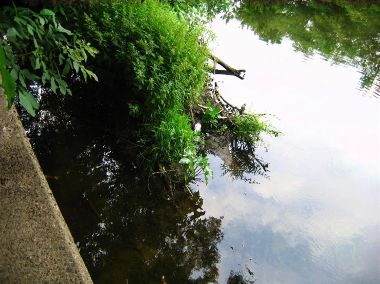 the sky is cloudy and bright behind a tree lined pond