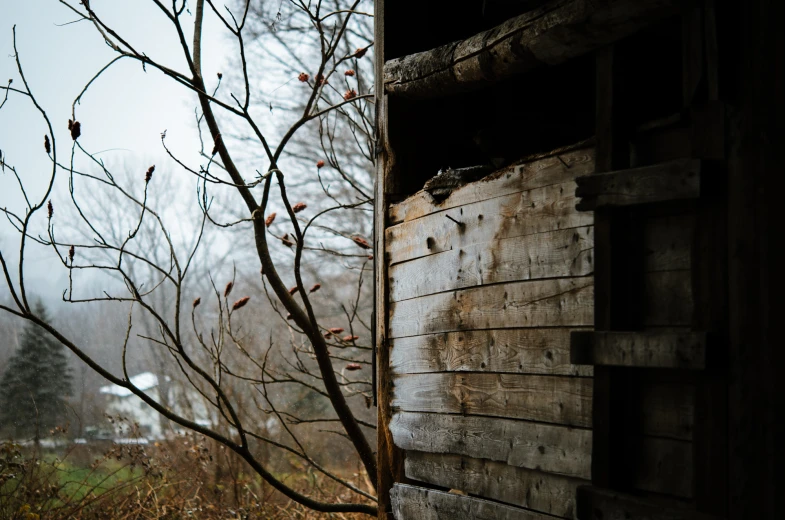 the wood on the building is brown and has little leaves