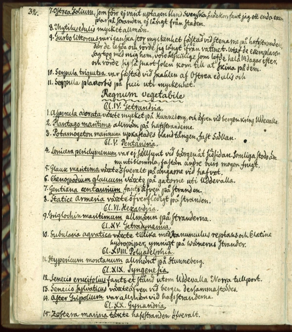 an open book with handwriting and latin cursive writing