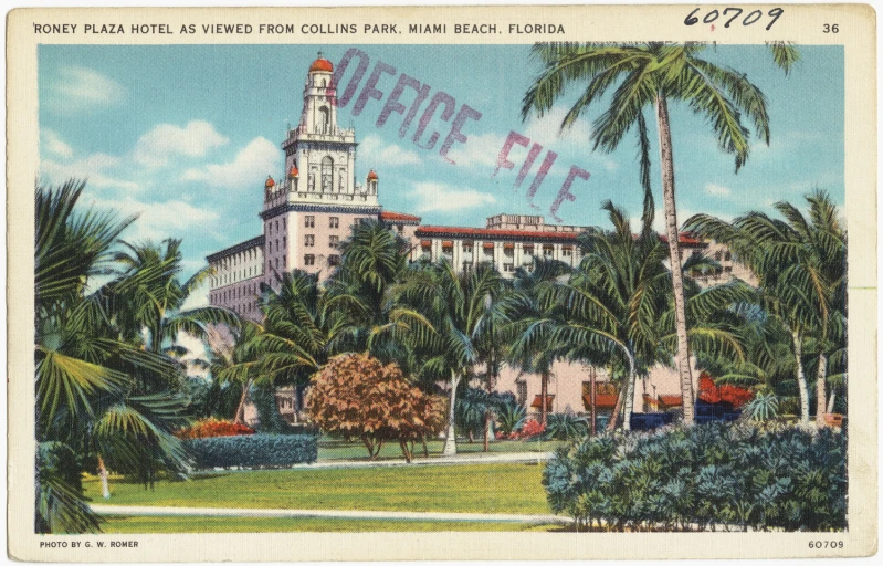 an image of a white building with palm trees and blue sky